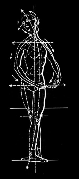 Ballet Positions Diagram