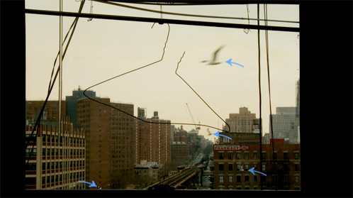 Housebound still (arrows added): birds through window