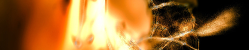 Detail from Recovered Light